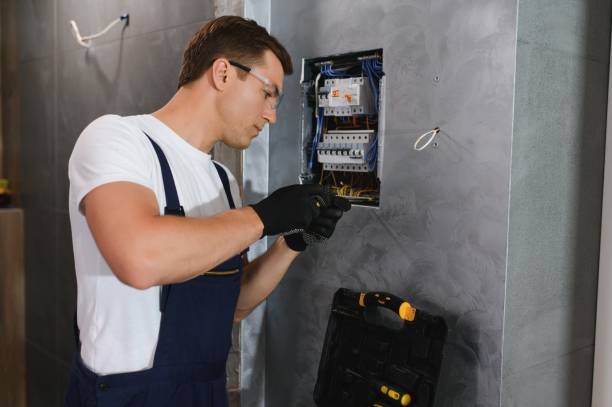 Best Ceiling Fan Installation Electrician  in Dana, NC
